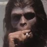 HappyBakes's profile picture