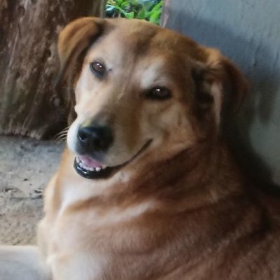 MarciaAly01's profile picture