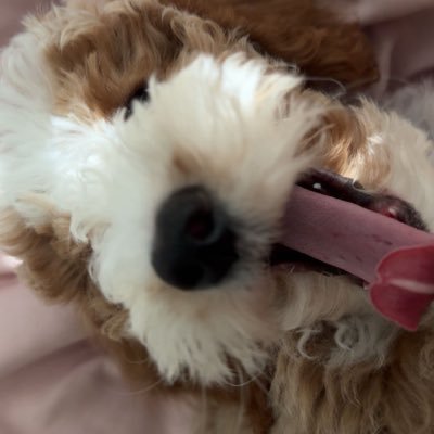 SR Firstkiller's profile picture