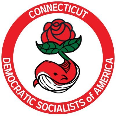 Connecticut DSA 🌹🐳's profile picture