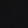 Diego Bastos's profile picture