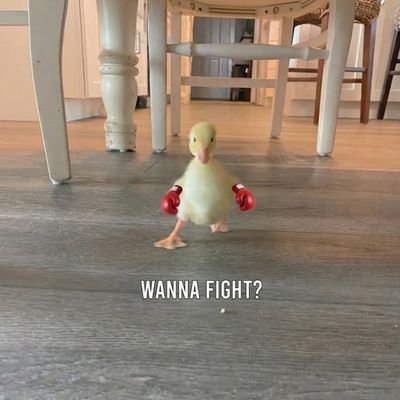 OfficialBobbie's profile picture