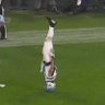 bradylocks's profile picture