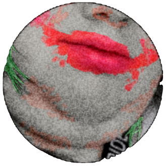 The 'Buzin Faker's profile picture