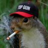 Фото профиля Squirrel