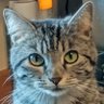 bethrush's profile picture