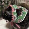 YUMI profil fotoğrafı