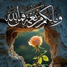 ابو احمد سالم 的头像