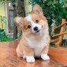 Profilbild von Raphael