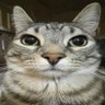 fio profil fotoğrafı