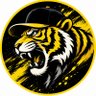 ただの阪神ファン's profile picture