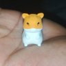 Draco natsume's profile picture