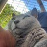 まそん's profile picture