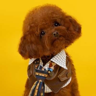 cerenitywilde's profile picture