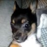 AlexanderTheResurrection's profile picture