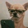 غزوان's profile picture