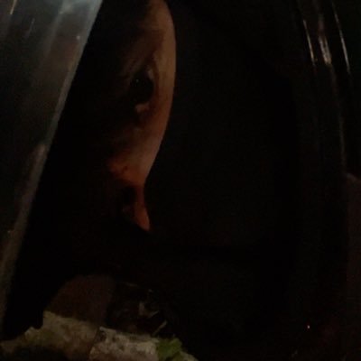 Onikiri_01's profile picture