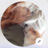 Profilbild von イッチャン