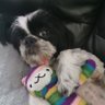 ♥nixs♥'s profile picture