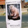 Profilbild von Ольга Мох