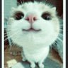 elisa 🦦 profil fotoğrafı