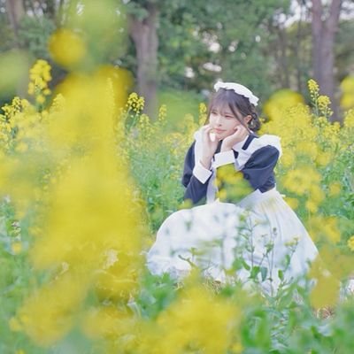 雛菊(hinagiku) @ワンダーパーラーカフェ's profile picture