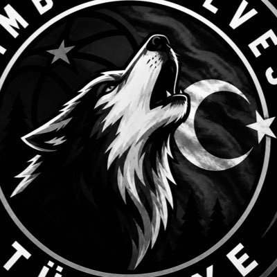 Timberwolves Turkiye's profile picture