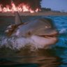 Profilbild von Swordfish-76-