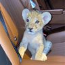 Фото профиля 🐆 BADER