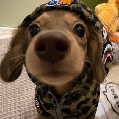 똘필's profile picture
