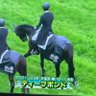 Profilbild von TAKU坊競馬プボー