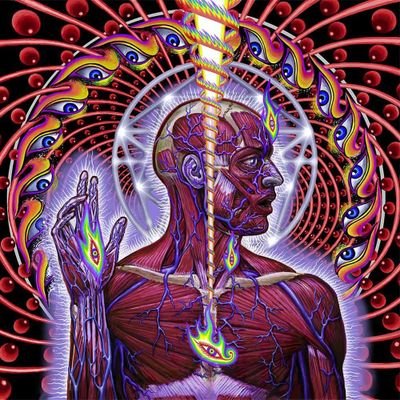 Perczi's profile picture