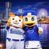 ⚾️ベイ男🌟横浜にシャーレを⚽️ profil fotoğrafı