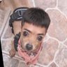 Фото профиля Paquirrin Junior