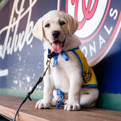 natspup_'s profile picture