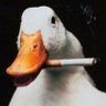 ROV profil fotoğrafı