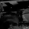 Profilbild von SSSO