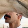 ᷂سلطان 🇸🇦's profile picture