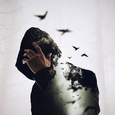 Fadi1434436's profile picture