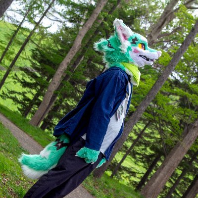 sakurahishimoch's profile picture