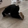 りるは profil fotoğrafı