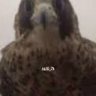 nnnnnnn's profile picture