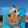 Trey Kongs profil fotoğrafı