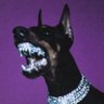 Profilbild von Zeus🔮