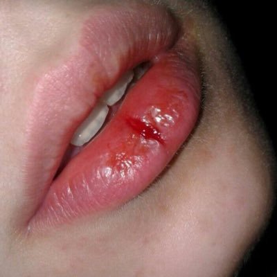 taxideleo's profile picture