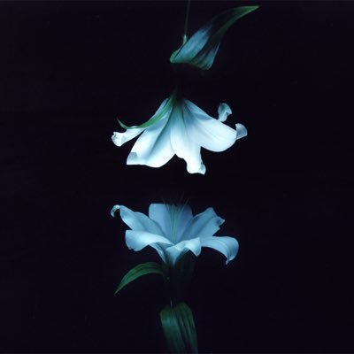 WASIA PROJECT's profile picture