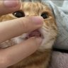 mady 的头像