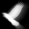 M's profile picture