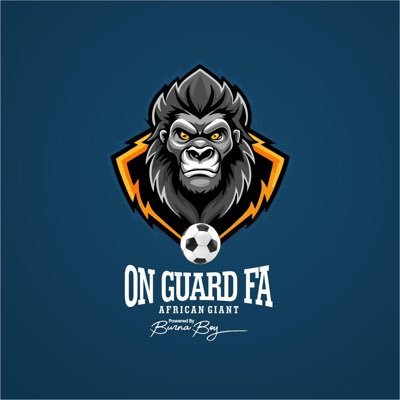 ON GUARD FA's profile picture