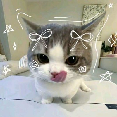 Misszanq's profile picture